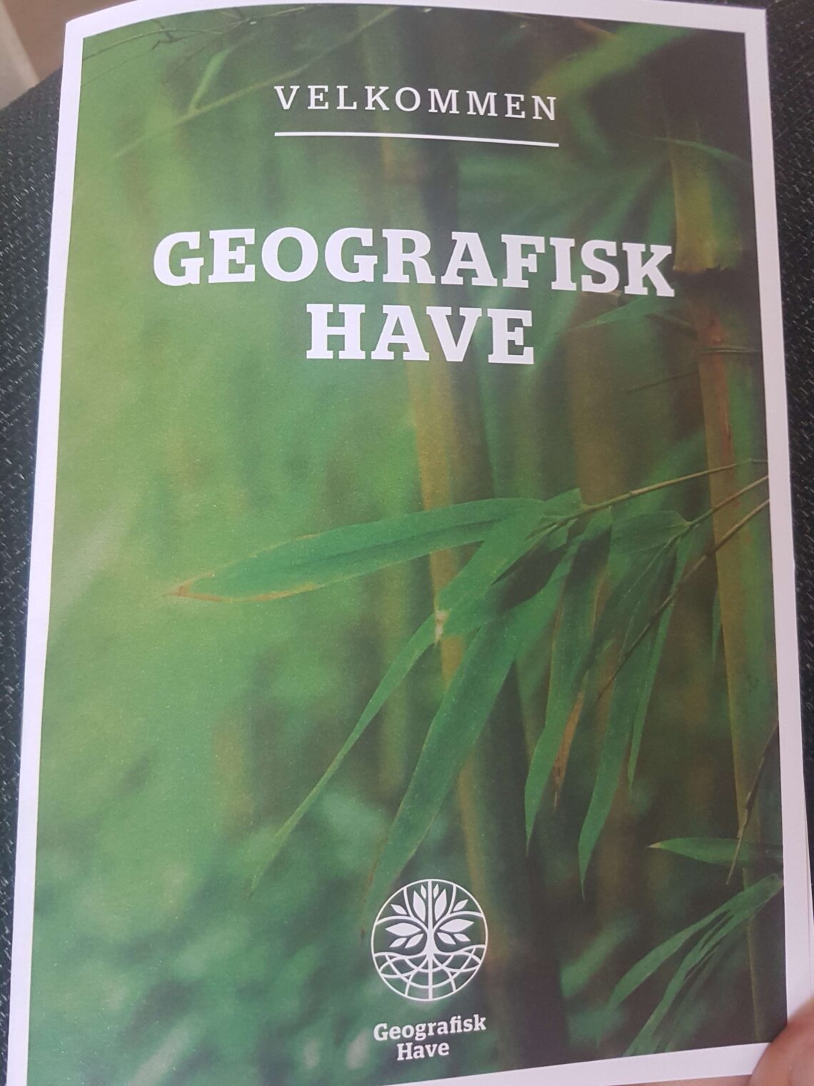 Geografisk have
