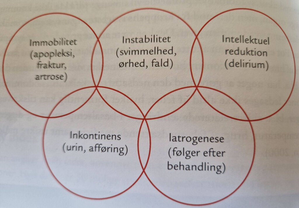 sygdom og den ældre borger